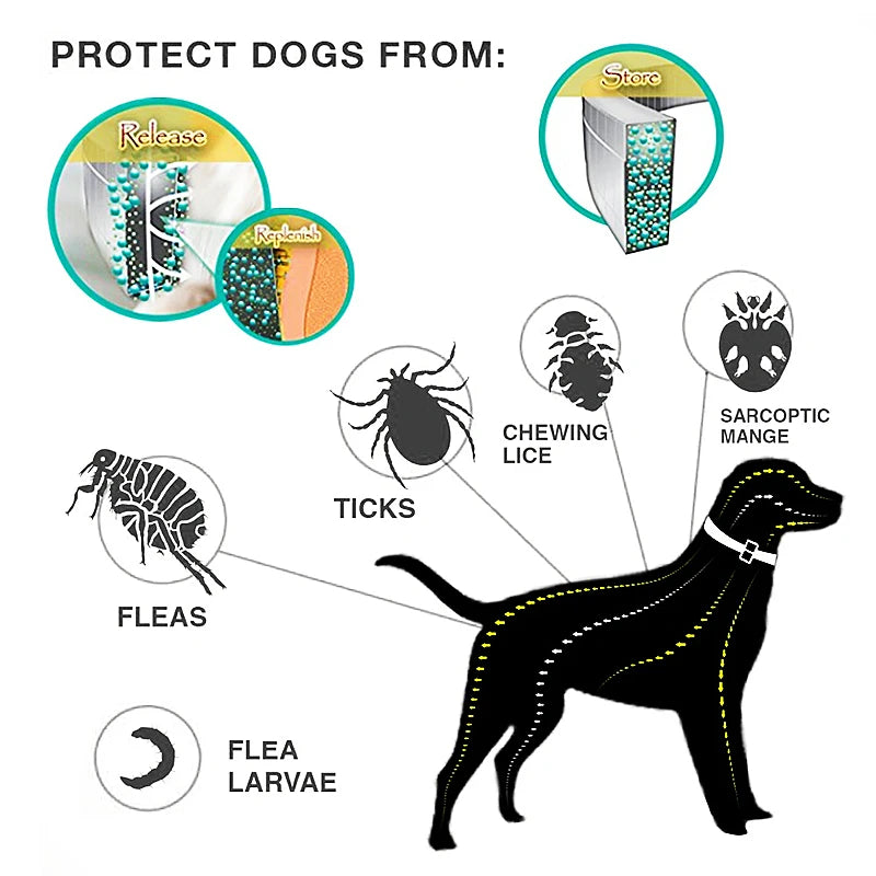 Dog Anti-Flea and Tick Collars