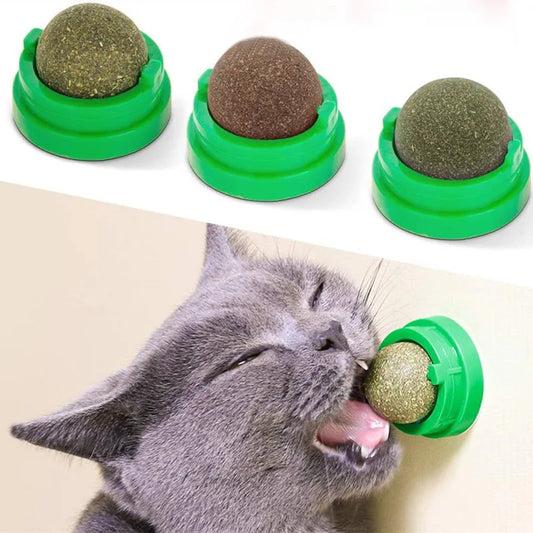 Natural Catnip Wall Mount