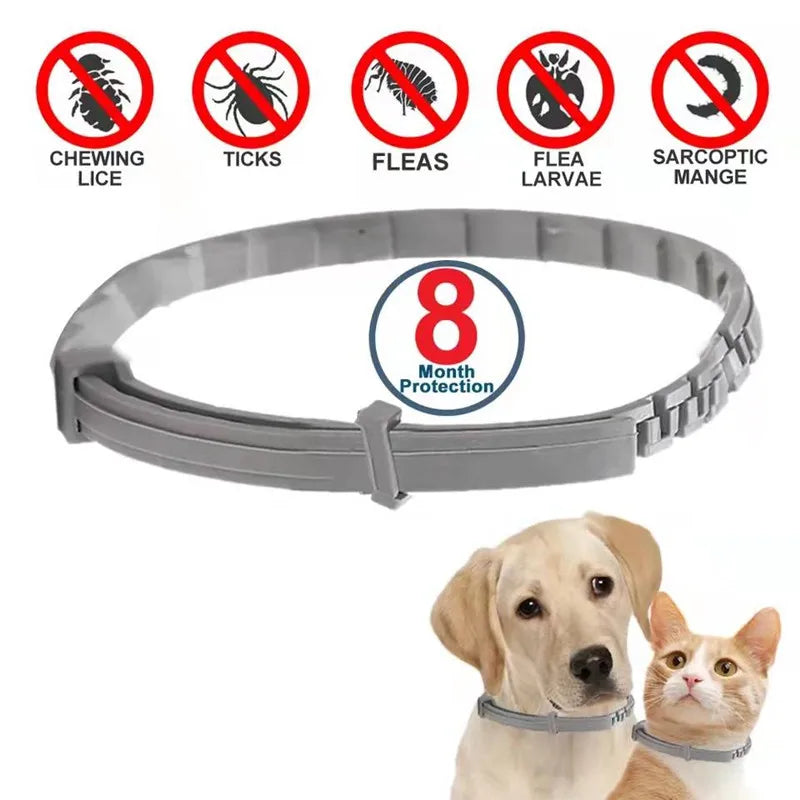 Dog Anti-Flea and Tick Collars